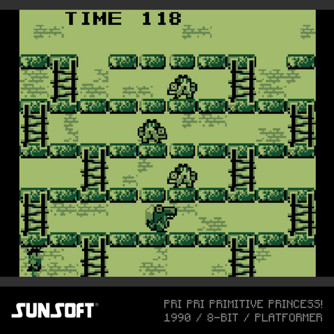 Piko Collection 4 and Sunsoft Collection 2 Bundle