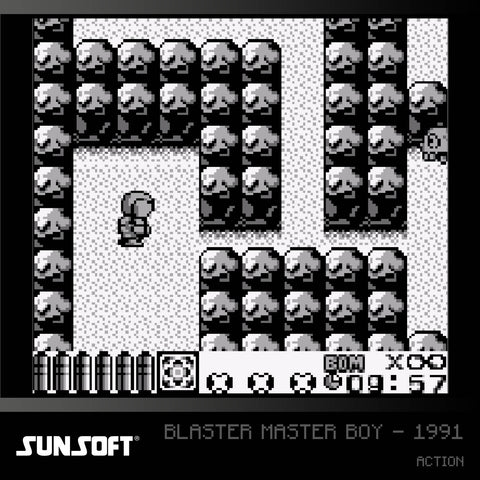 #31 Sunsoft Collection 1 - Evercade Cartridge