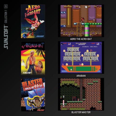 #31 Sunsoft Collection 1 - Evercade Cartridge