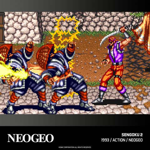 NEOGEO Arcade 2 and 3 Cartridge Bundle