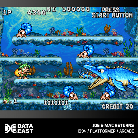 Toaplan Arcade Collection 3 and Data East Arcade Collection 2 Bundle