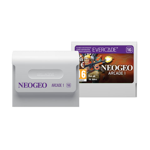 Roguecraft DX and NEOGEO Arcade 1 Double Pack