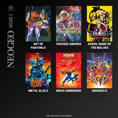NEOGEO Arcade 2 and 3 Cartridge Bundle