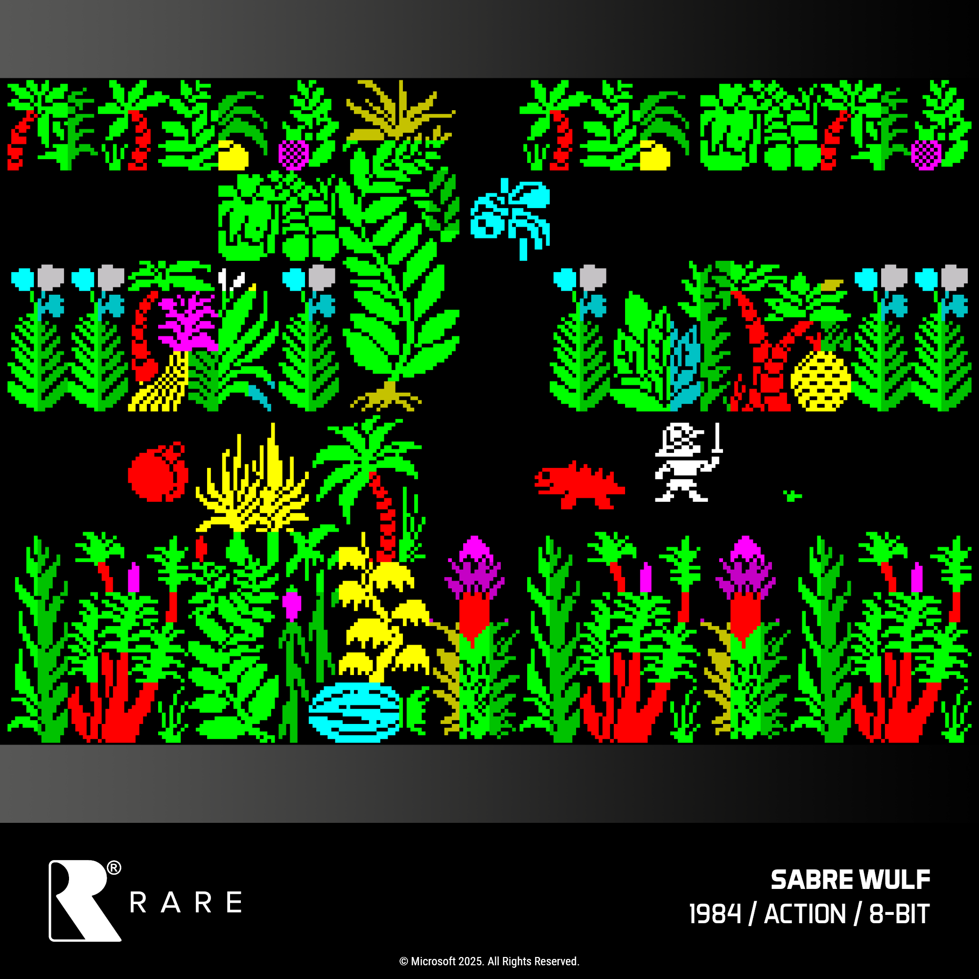 #48 Rare Collection 1