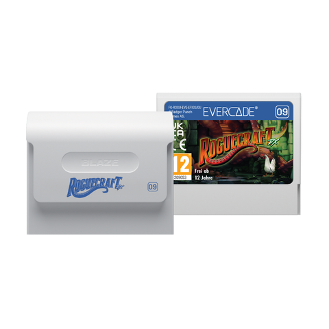 Roguecraft DX and NEOGEO Arcade 1 Double Pack