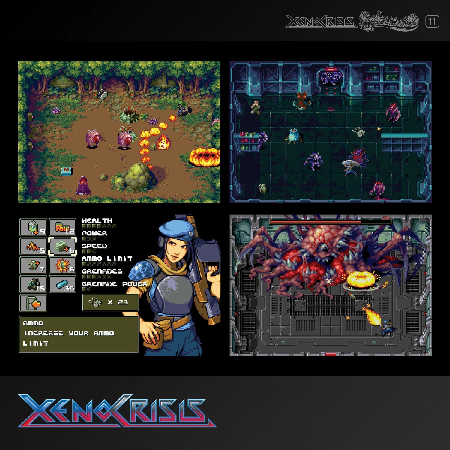 #11 Xeno Crisis & Tanglewood Dual Game - Evercade Cartridge